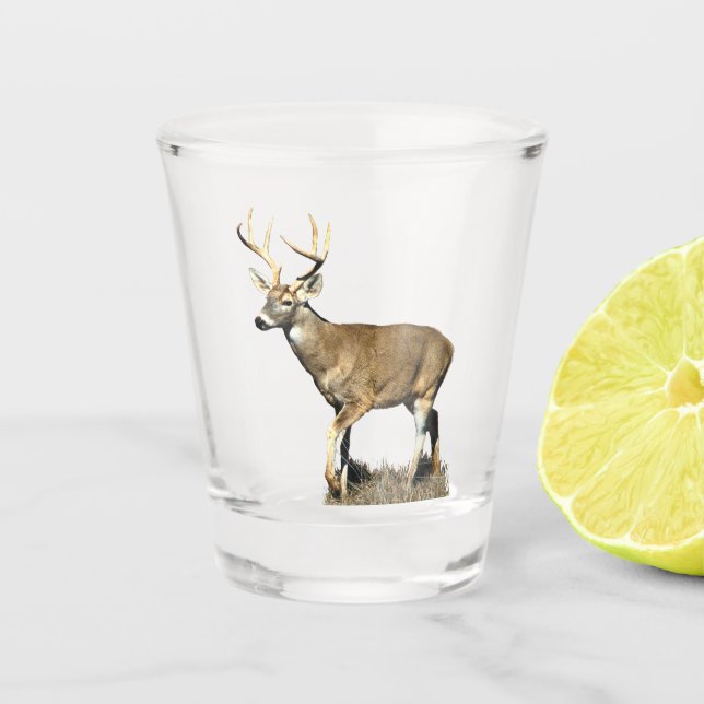 White Tails Deer Buck Schnapsglas (Vorderseite)