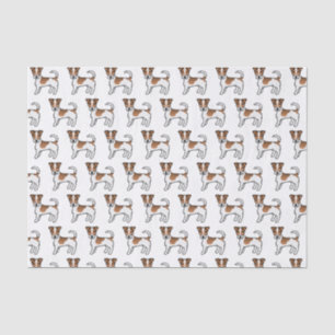White & Tan Rough Coat Jack Russell Terrier Dogs Seidenpapier
