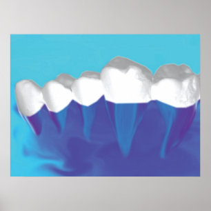 White Teeth Design Zahnarzt Orthodontist Poster