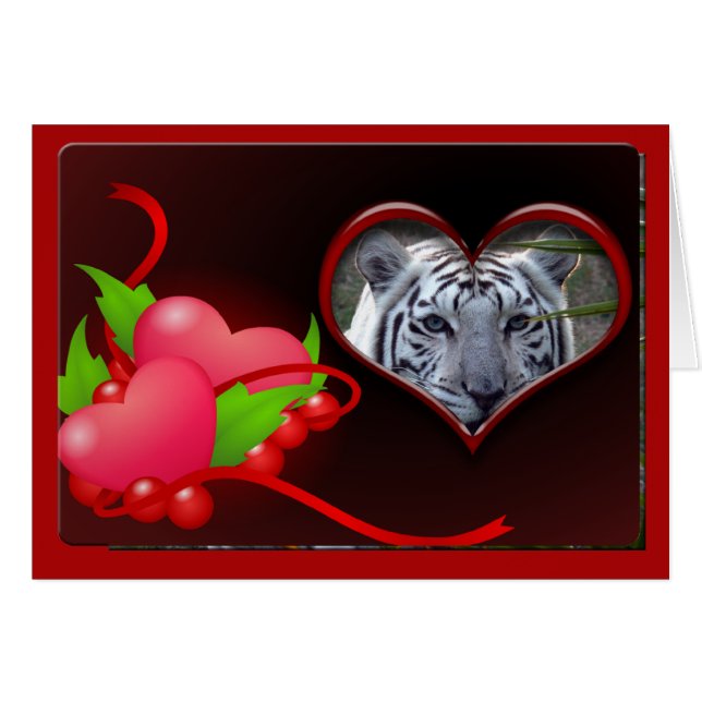 White-tiger-00102-65x45 (Vorderseite (Horizontal))