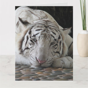 WHITE TIGER BIRTHDAY GREETING CARD KARTE