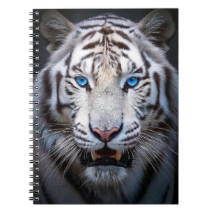 White Tiger Blue Eyes Notizblock