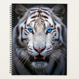 White Tiger Blue Eyes Planer