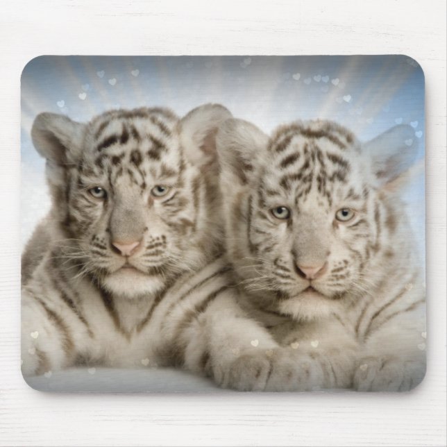 White Tiger Cubs Mouse Pad Mousepad (Vorne)