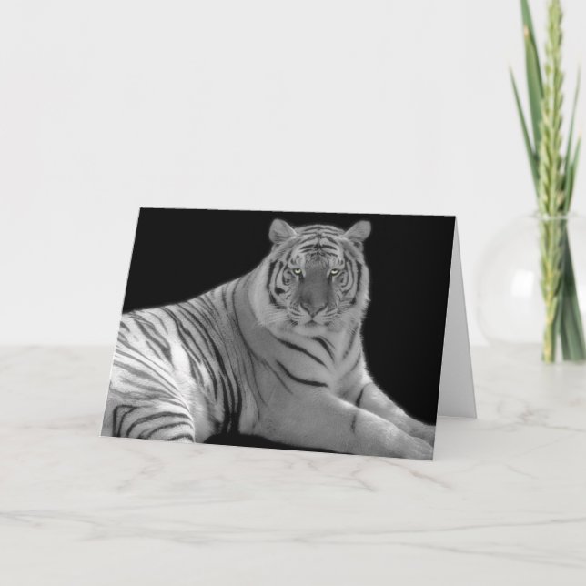 White tiger Geburtstagskarte Karte (Vorderseite)