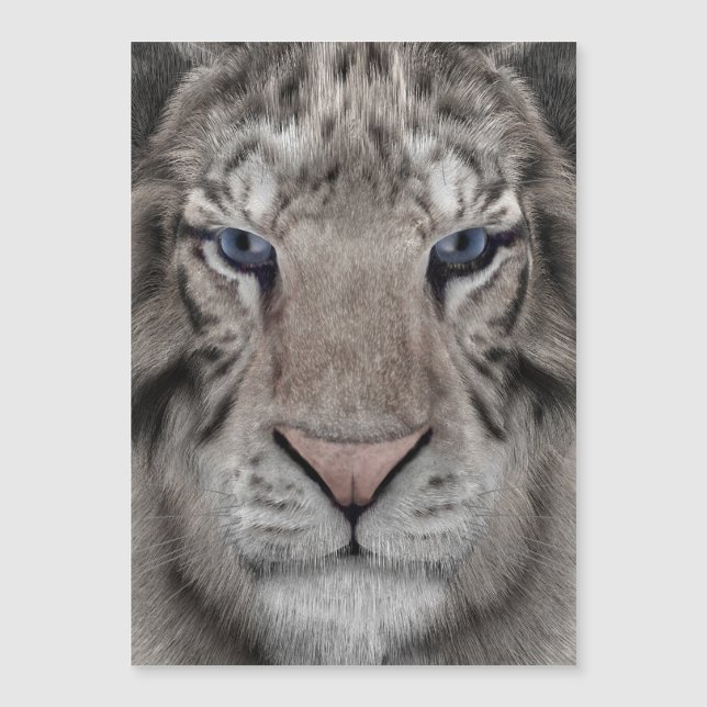 white_tiger_head magnetkarte (Vorderseite)