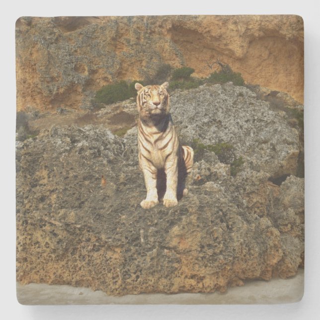 White Tiger Lookout, Steinuntersetzer (Vorderseite)