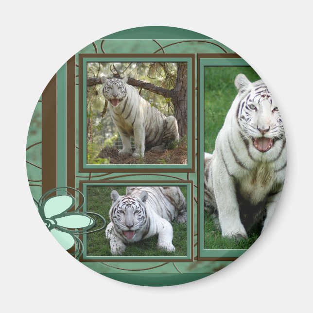 White Tiger Magnet (Vorne)