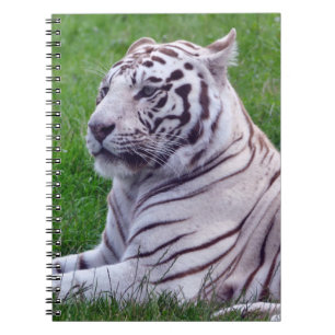White Tiger Notizblock