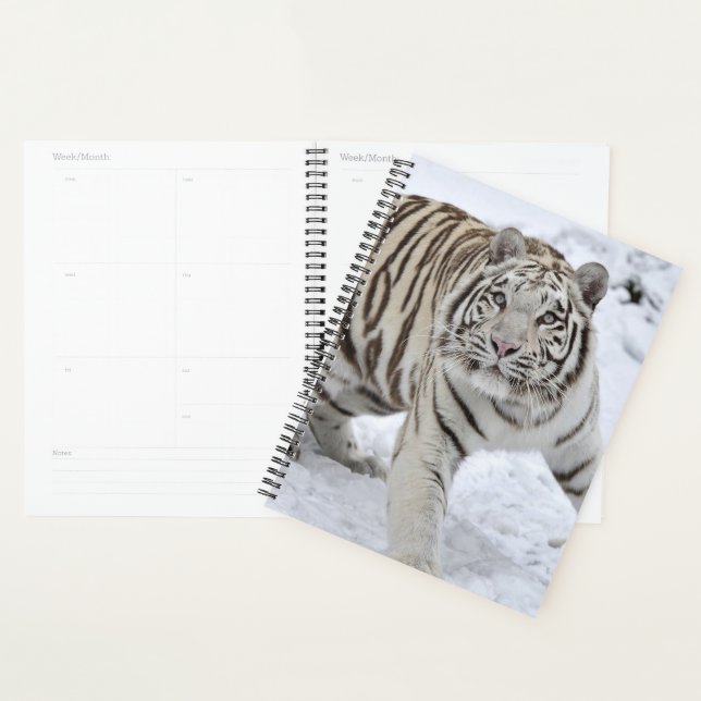 White Tiger Planer (Anzeige)