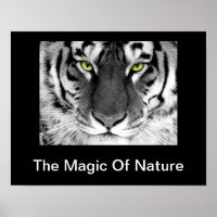 White Tiger Poster