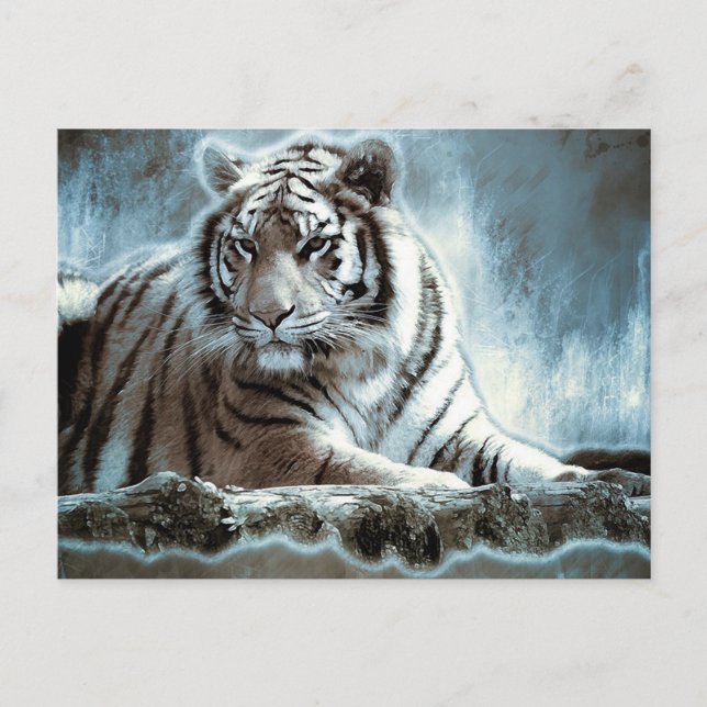 White Tiger Postkarte (Vorderseite)