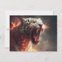 White-Tiger-Postkarten