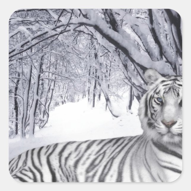 WHITE TIGER QUADRATISCHER AUFKLEBER (Vorderseite)