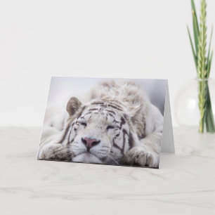 WHITE TIGER RELAXING BIRTHDAY CARD KARTE