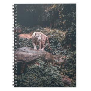 WHITE TIGER STEHEND AUF GRAY STONE NOTIZBLOCK