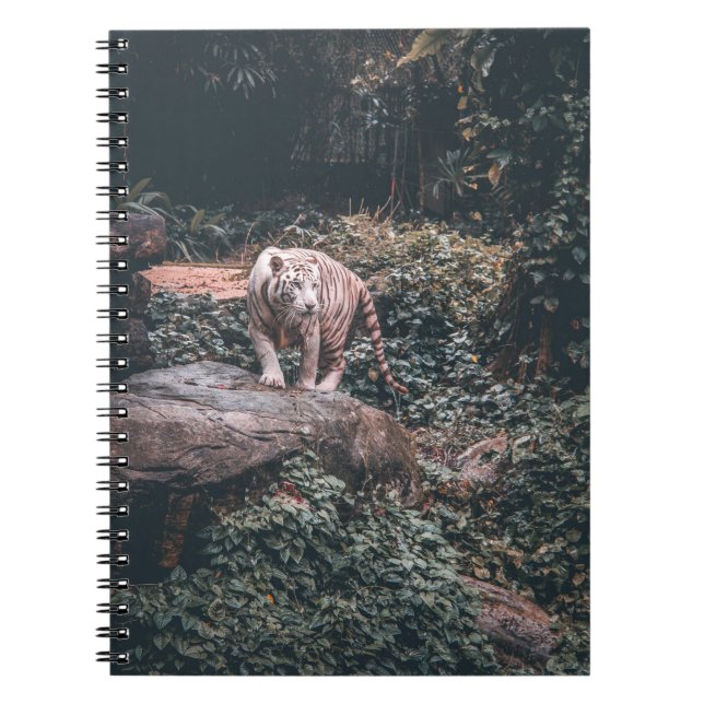 WHITE TIGER STEHEND AUF GRAY STONE NOTIZBLOCK (Vorderseite)