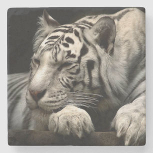 White Tiger Steinuntersetzer