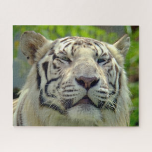 White Tiger Up Nah 2
