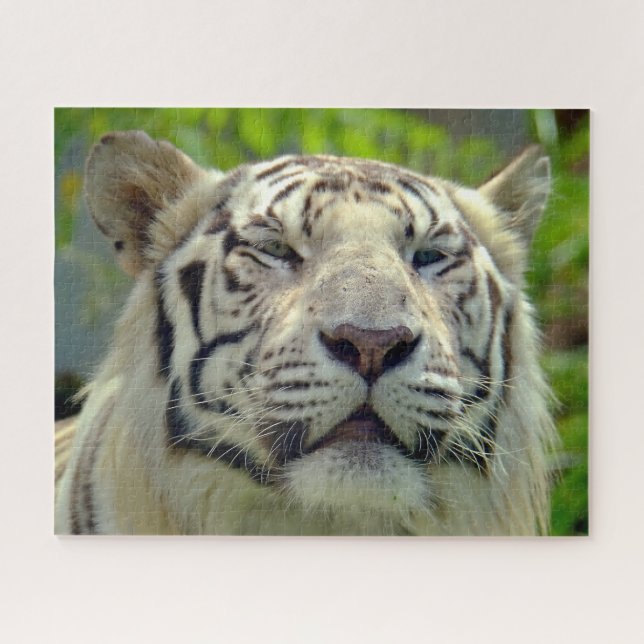 White Tiger Up Nah 2 (Horizontal)