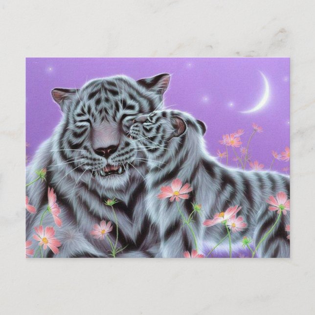 White Tigers Postkarte (Vorderseite)