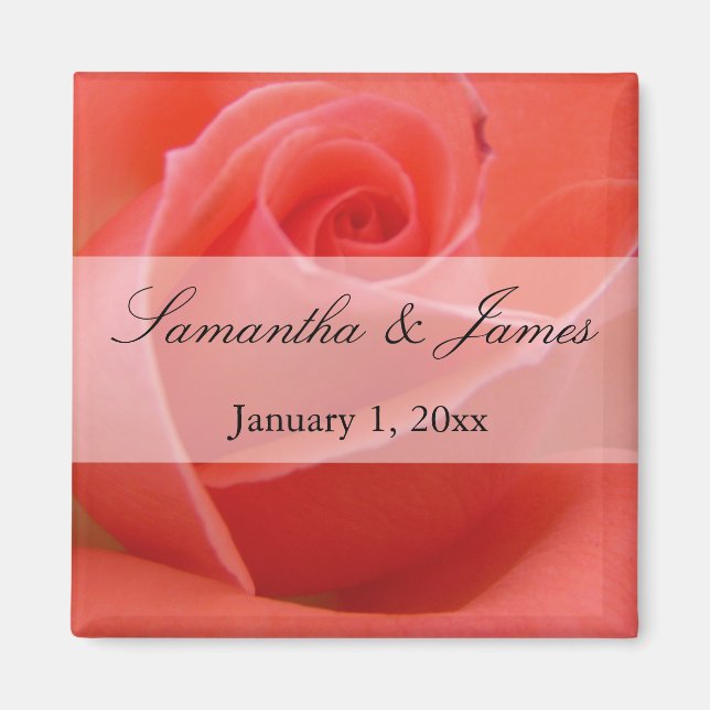 White Tipped Pink Rose Personal Wedding Magnet (Vorne)