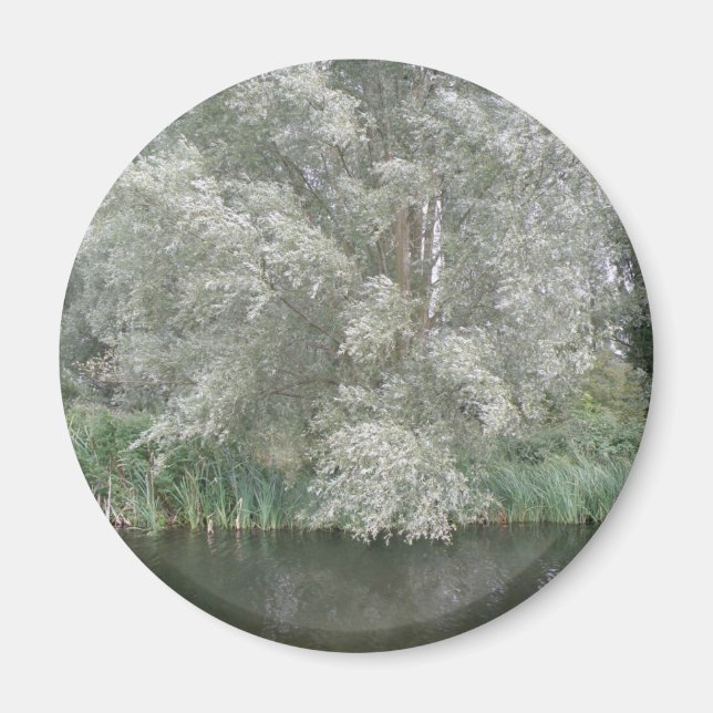 White Tree and River Landscape Magnet (Vorne)
