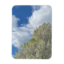 White Tree Blue Sky Clouds Photo Magnet