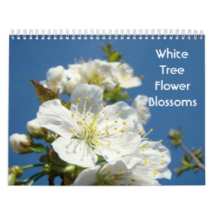 White Tree Blume Bllossoms Kalender Fotografie