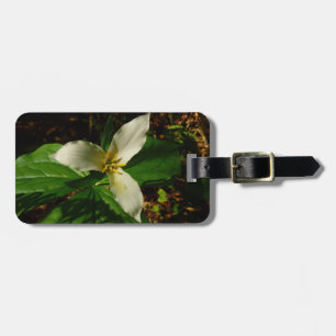White Trillium Blume Spring Wildblume Gepäckanhänger