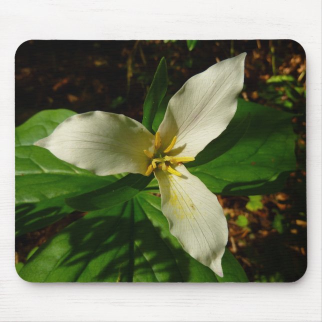 White Trillium Blume Spring Wildblume Mousepad (Vorne)