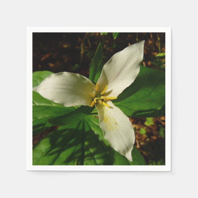 White Trillium Blume Spring Wildblume Serviette (Vorderseite)