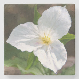 White Trillium Steinuntersetzer