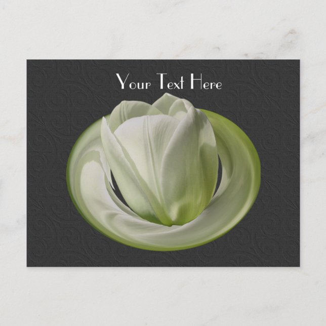 White Tulip Black Floral Anpassbare Postkarte (Vorderseite)