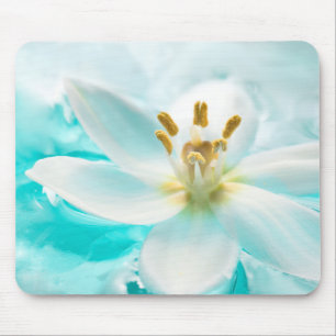 White Tulip Blume Blauer Wasserteich Aqua Mousepad