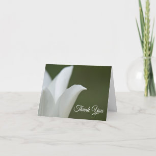White Tulip Blume über grünes Begräbnis-Beileid Dankeskarte