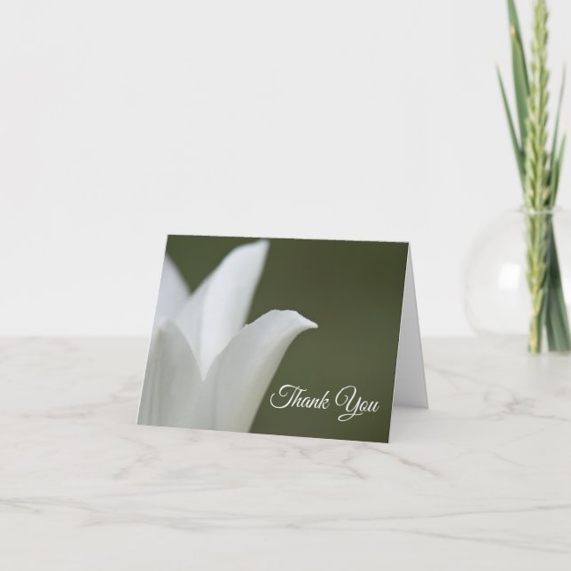 White Tulip Blume über grünes Begräbnis-Beileid Dankeskarte (Vorderseite)