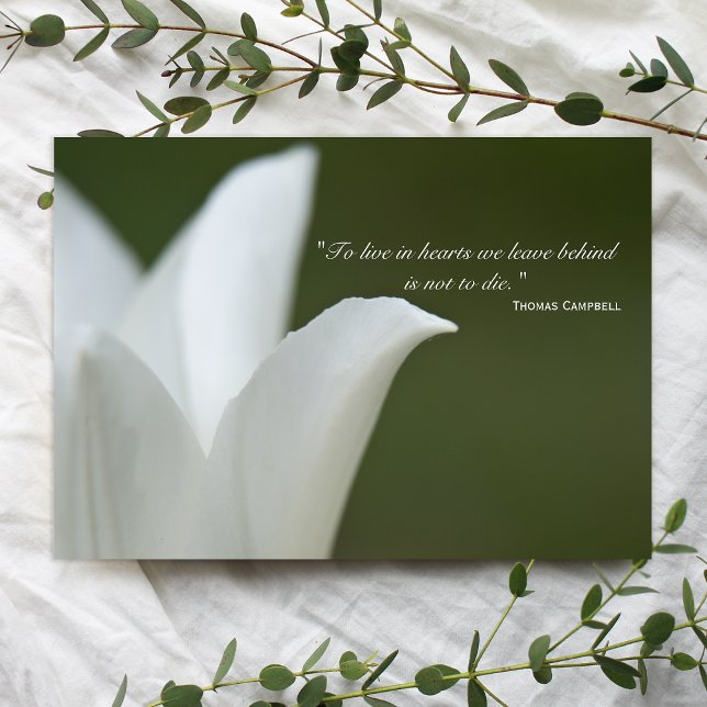 White Tulip Vielen Dank für Ihr Beileid Dankeskarte (Von Creator hochgeladen)