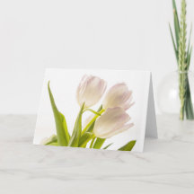 White Tulips-Karte für alle Fälle