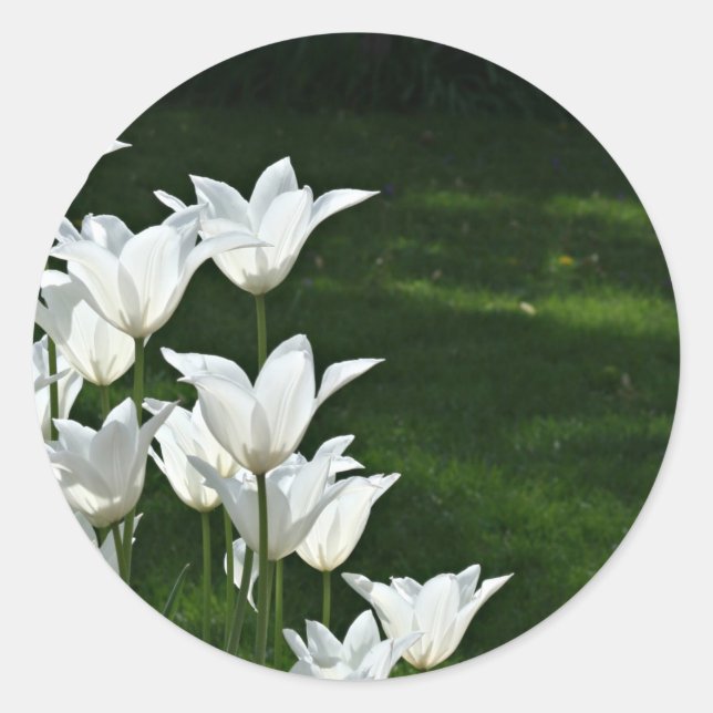 White Tulpe Wedding Aufkleber (Vorderseite)