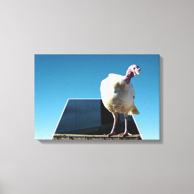 White Turkey Dimensional Popout Art, Leinwanddruck (Vorderseite)