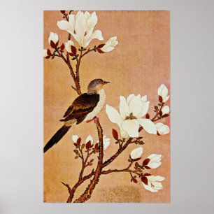 White Turtledove auf Blütenzweig, Chiang T'ing Poster