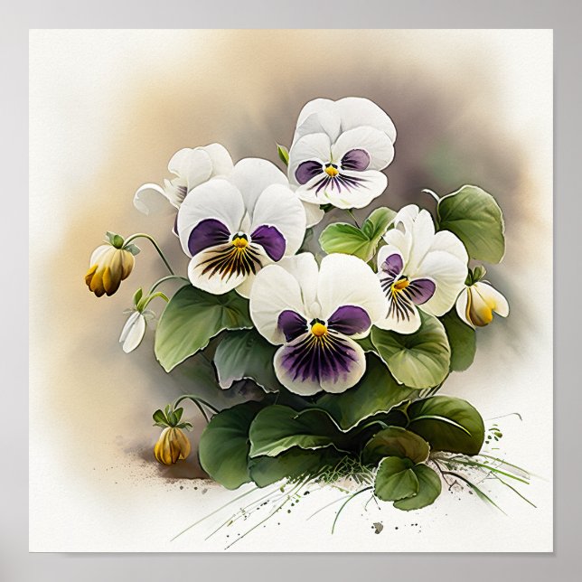 White Violas Blume Art Print Poster (Vorne)