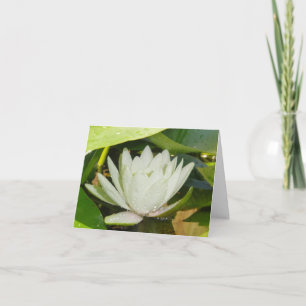 White Wasserlilie Sympathy Card Karte