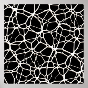 White Web Texture + Ihr Bachgr. Ideen Poster