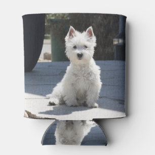White West Highland Terrier auf Sidewalk Dosenkühler