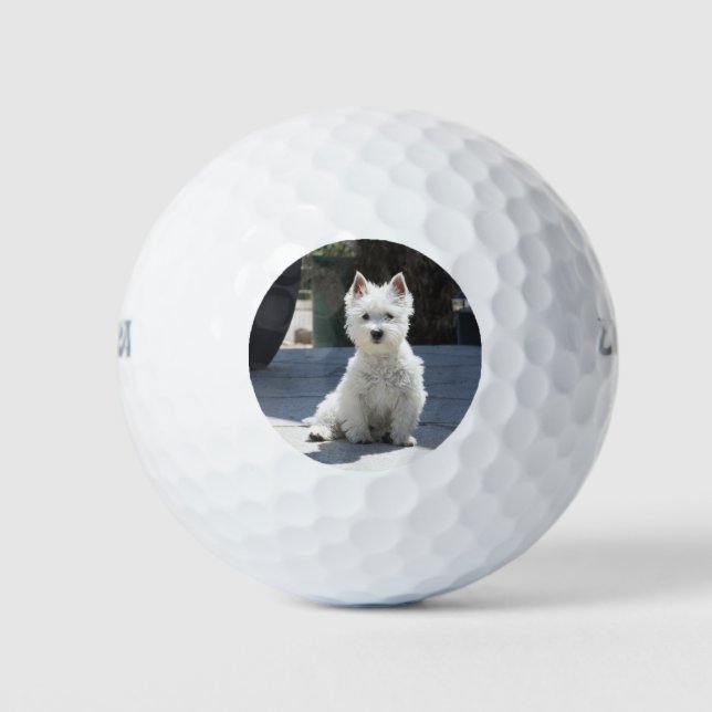 White West Highland Terrier auf Sidewalk Golfball (Vorderseite)