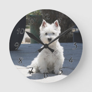 White West Highland Terrier auf Sidewalk Runde Wanduhr