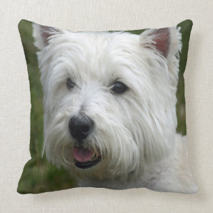WHiTE WeST HiGHLaND TeRRiER Kissen