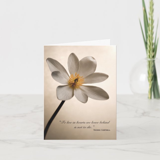 White Wildblume Vielen Dank für Ihr Mitgefühl Dankeskarte (Vorderseite)